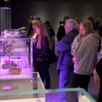 Linkoping 4